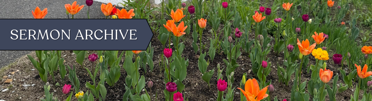 sermon archive_spring-4