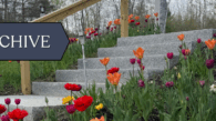 sermon archive_spring-5